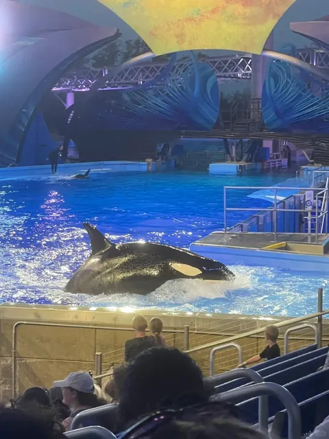  Relaxing Getaway in San Antonio 🌌✨