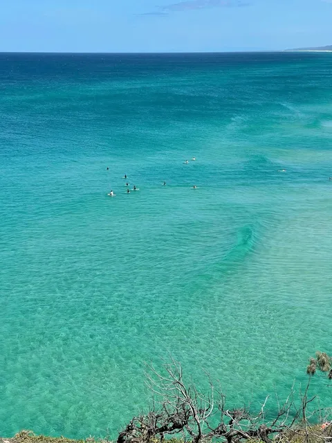 Brisbane North Island Day Trip 🩵🏝️🏄🏻‍♀️ Super Beautiful Jelly Sea