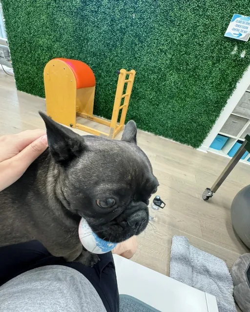 Dallas | Best Pilates Studios