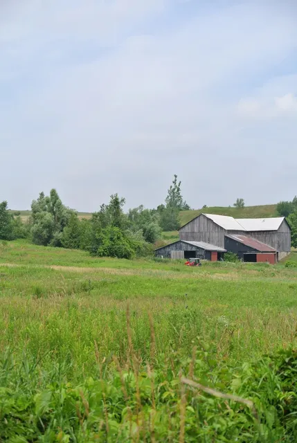 ​​Toronto Hike | Boyne Valley Adventure 🌿​​