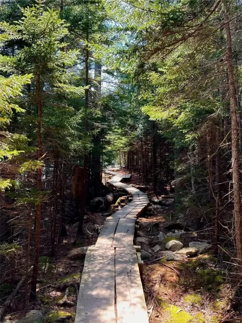 🌄 Acadia National Park, Maine – Pure Beauty on the East Coast!