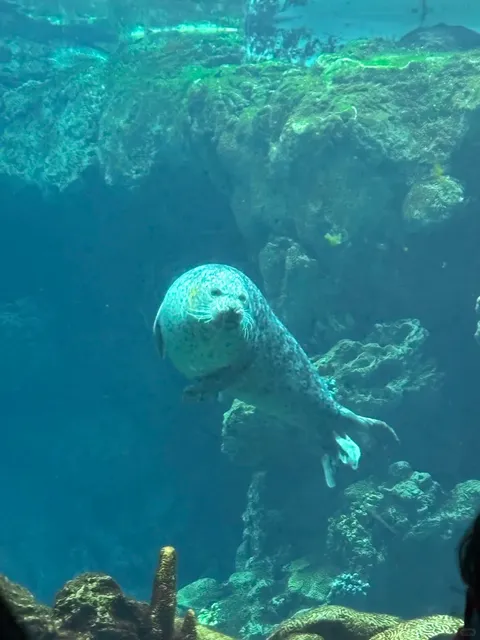 🇮🇹 "I Fell in Love with Genoa in One Second"