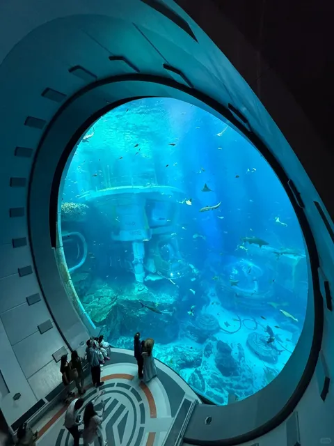 Abu Dhabi SeaWorld 🐬 | The World's Largest Marine Life Park