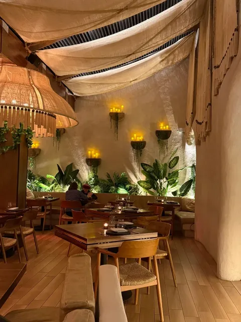 New York | This Place is So Tulum-Vibe (1)🌟