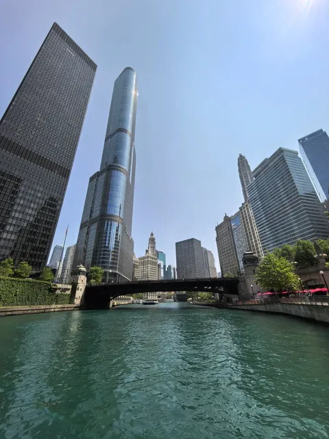 🌿🚤 Summer on the Chicago River: Where Skyscrapers Meet Serenity （2）