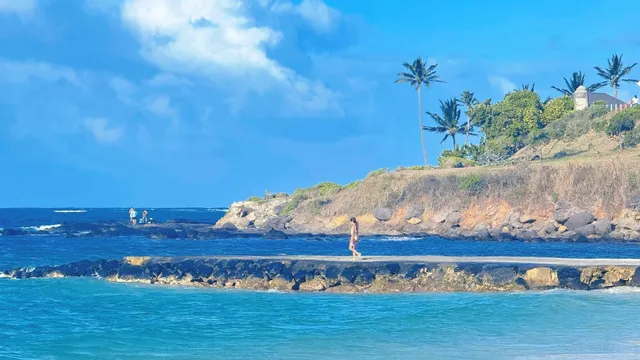 Honolulu，Hawaii 🌺｜Car-Free Travel Guide 6.0 – South Shore Edition