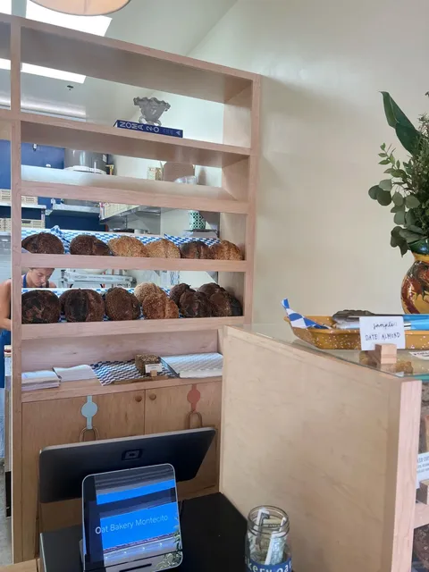 🌴 Come Vacation with Me in Santa Barbara! 🌞