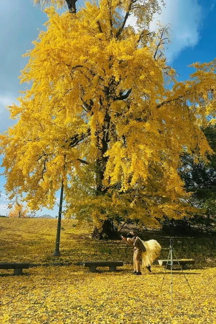 Hey Big Data, Push These Amazing Spots for Fukuoka CityWalk