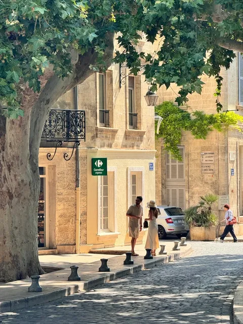 Avignon Travel Notes ✍️🇫🇷