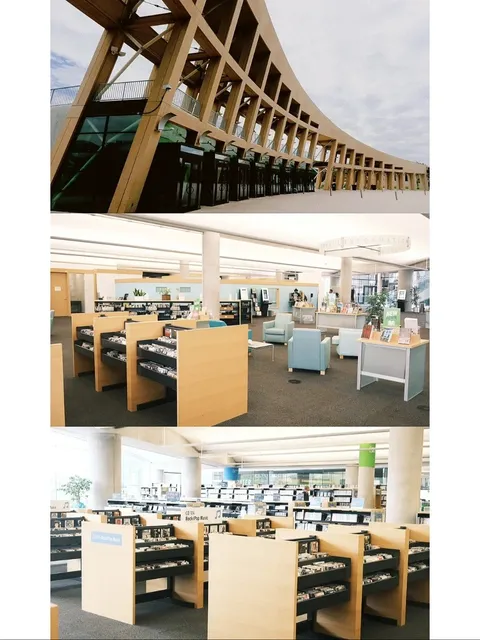 🏔️ A Library with a Snow-Capped View 📚 | Book Journey