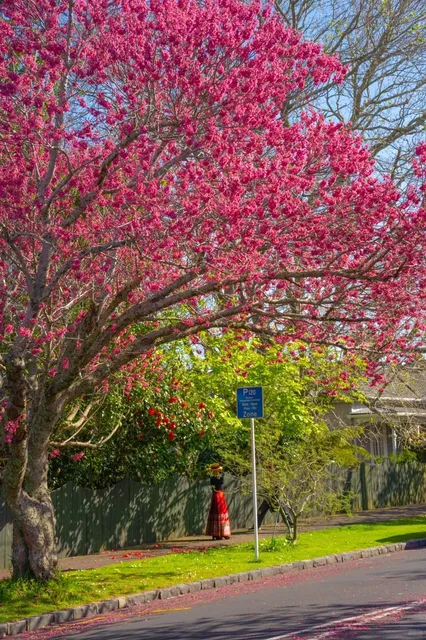 Don’t Leave Auckland Without Snapping These 3 Iconic Spots!