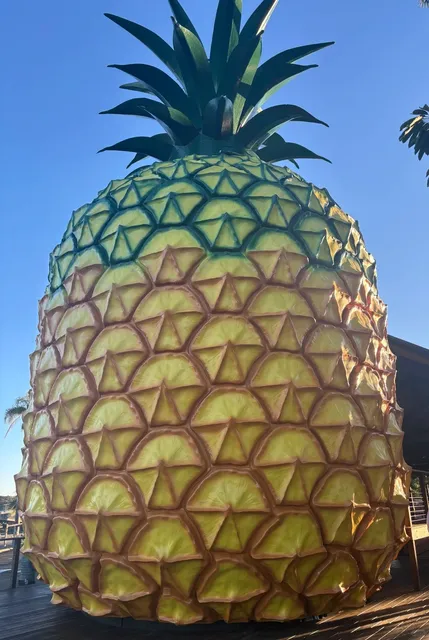 📍 Sunshine Coast Day 2 | Forest, Village & Starry Seaside