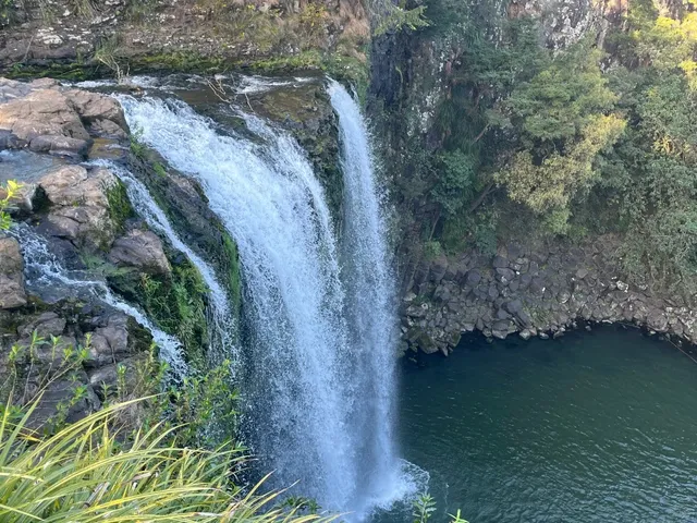 🌿 Whangarei Nature Escape: Waterfalls & Coastal Bliss!