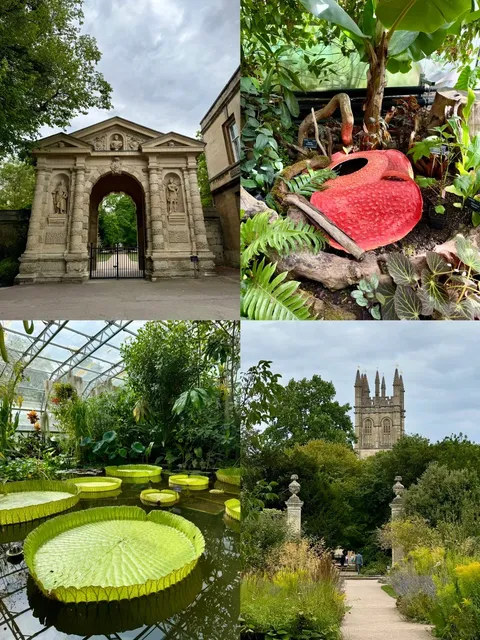 🇬🇧 Ultimate Oxford Day Trip: Museum Hopping Edition! 🏛️✨