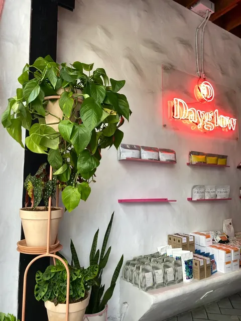 The  OG coffee——Dayglow