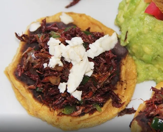  Querétaro's Organic Culinary Oasis