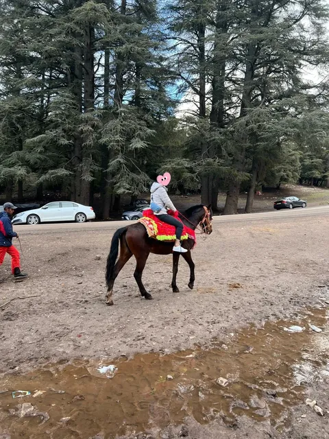 🇲🇦 Morocco 7-Day Itinerary: The Magic of Fes