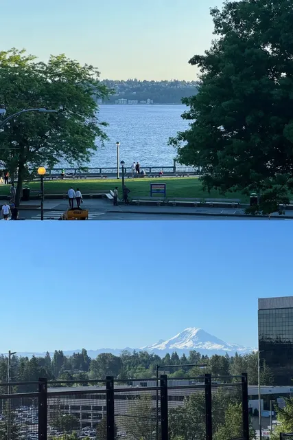 Seattle Travel Guide 🦭 A Solo Journey to See Mountains and Sea