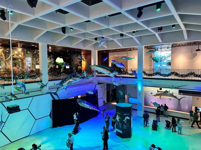 Texas Tri-City Adventure: Austin, San Antonio & Houston in 3 Days! 🤠