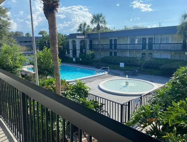  Tampa: A Warm and Welcoming Experience！