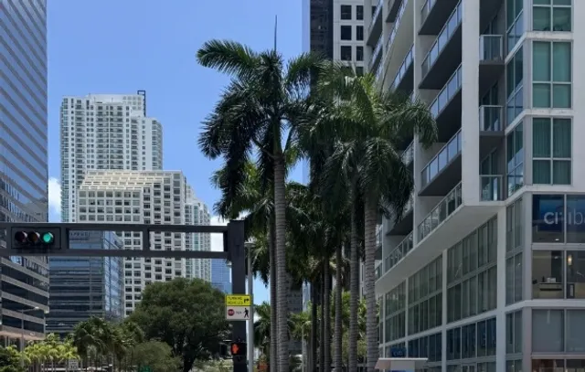 Miami, Capital of the Americas — A One-Day Light Itinerary