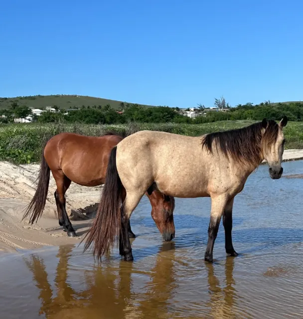Jericoacoara, a small town in the northeast of Brazil