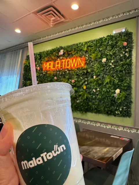 Mala Tang Review in Las Vegas 🇺🇸🌶️