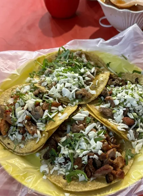 Taking the Bus to Cancun's Night Market for a Foodie Adventure!