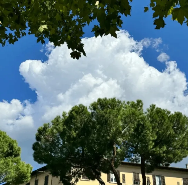 Visit the Basilica of San Marco to see the frescoes.