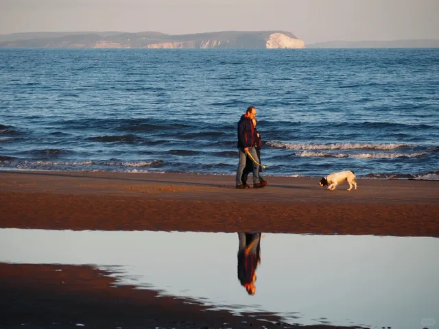 Just 2 Hours from London 🇬🇧: A Beach Loved by Humans & Dogs Alike