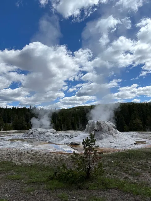 Nature's Color Palette & Wild Kingdom