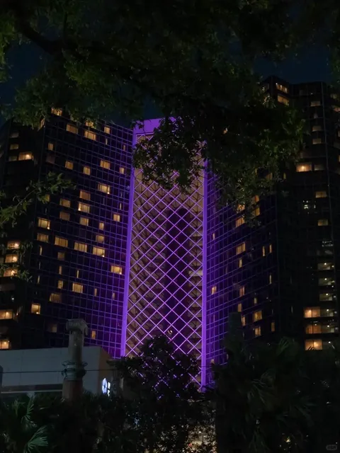 Hyatt Regency New Orleans – I’ll Never Cheat On You 😭