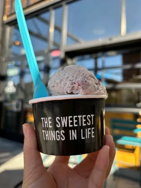 🇺🇸🍨 Boise's MUST-TRY Ice Cream Spot!