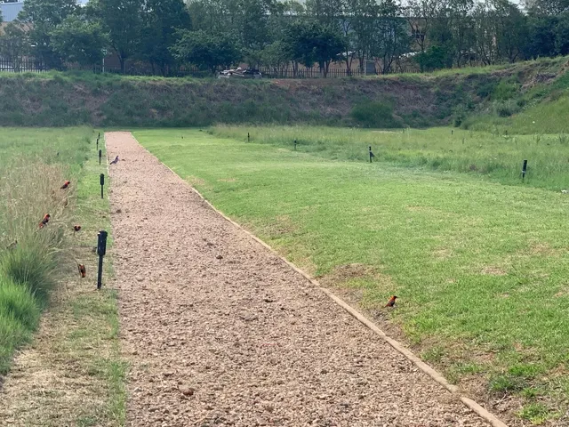 🇿🇦 Johannesburg Red Bus Tour | The Safest Way to Explore 🚌✨