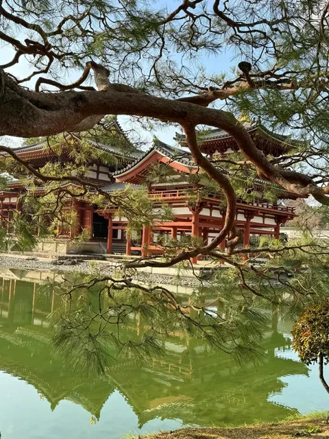 photo-2