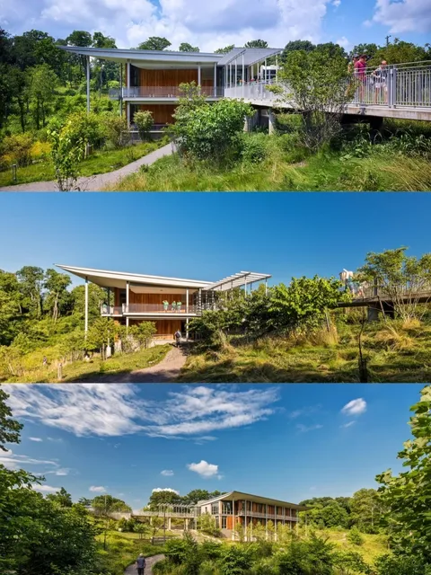 Spring Outing Guide to Pittsburgh 🌸🌿