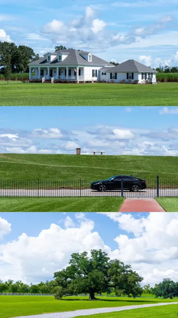 Oak Alley Plantation: The Last Glory of the Van der Linde Gang