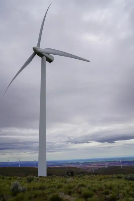 Steptoe Wheat Field Trip｜Around Seattle