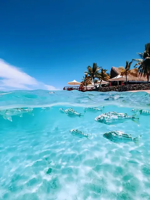 🇫🇯 Skip the Maldives! Fiji 8D6N Trip = PERFECTION 🌊✈️