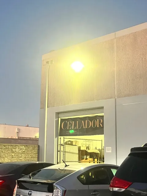 LA Layover Beer Run — First Stop 🍻✈️