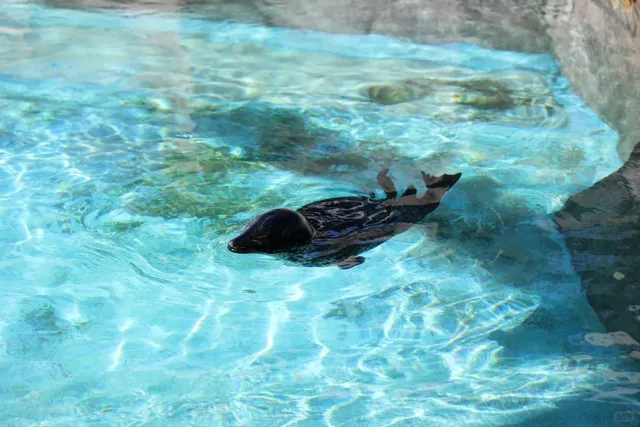 Great Day Trip from Madison: Milwaukee City Walk 🏙️🚶🍜