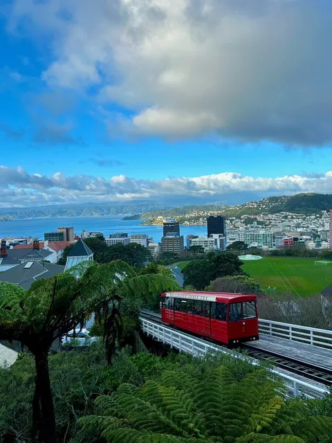  Wellington: Is It “City” Enough? 🤔   