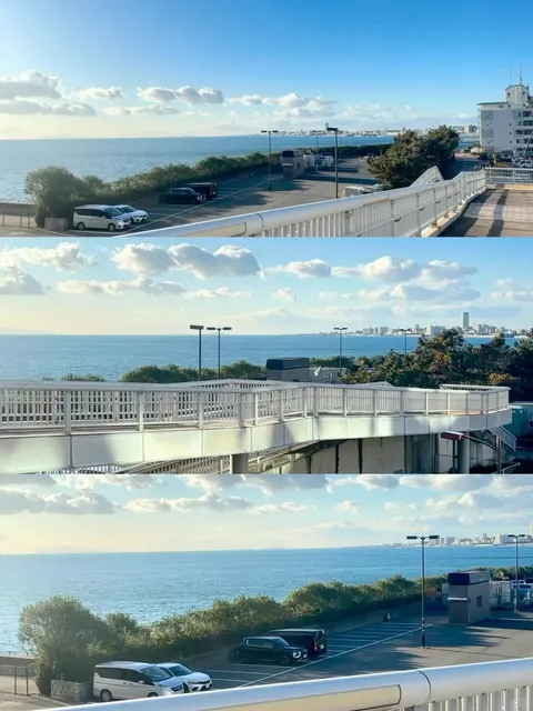 Sisters, Kobe is truly breathtaking!!! 🌸