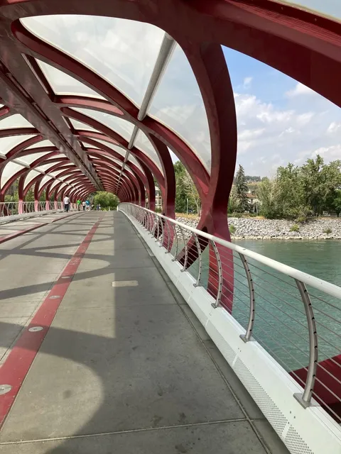 🌳🌸 Prince’s Island Park: Calgary’s Urban Oasis 