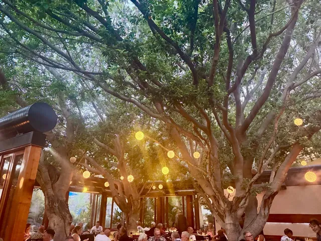 Forest Oasis Restaurant in Palm Springs｜Speechlessly Beautiful 🌿✨