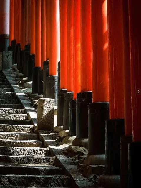 A Journey Through the Edo Period's Watery Poetry 🌸