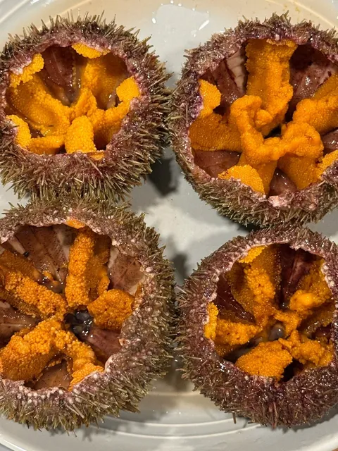 Seattle｜Scoring Super Fresh Uni in Bellevue 🏆