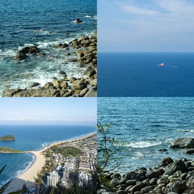 🇳🇿 Solo ISTJ's Wellington Escape | 4-Day Road Trip Diary