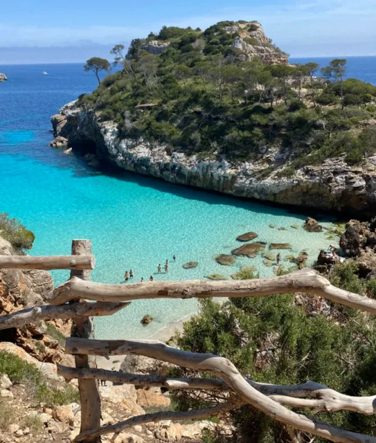 Unlock jellyfish Sea with one click | Mallorca travel guide