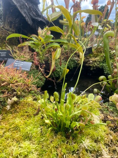 🌿 Birmingham Botanical Gardens: A Wild Oasis in the City!